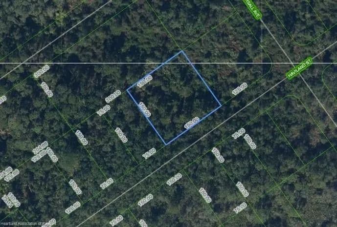 Lots & Land-Other in Lake Placid - Lake Placid, Florida, 33852