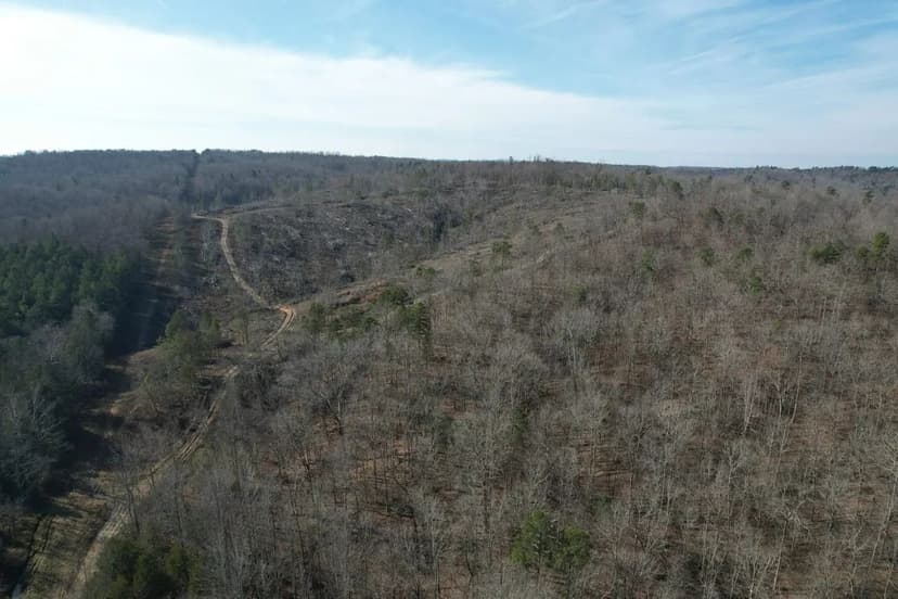 70 Acres +/- build or hunt