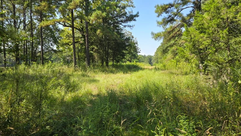 3.5 Acres in Lincoln County, MS