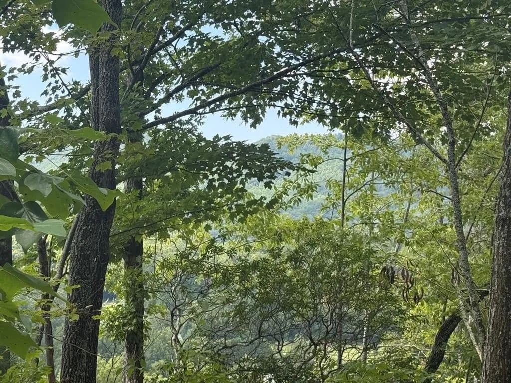 Lots & Land-Other in Hayesville - Hayesville, North Carolina, 28904