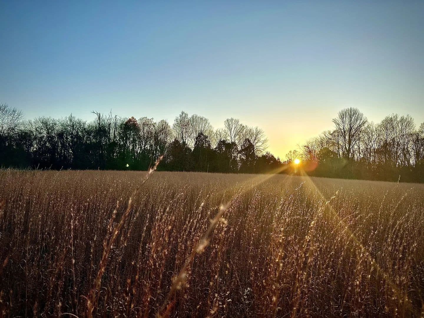 Vacant Land in Franklin - Franklin, Tennessee, 37064