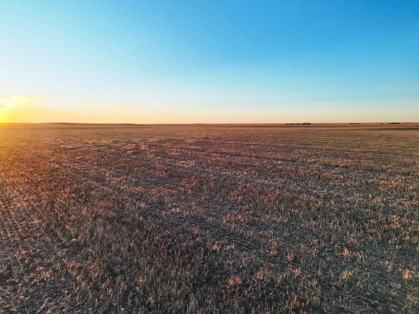 Quality Cropland with Good Access to Paved Highway 71