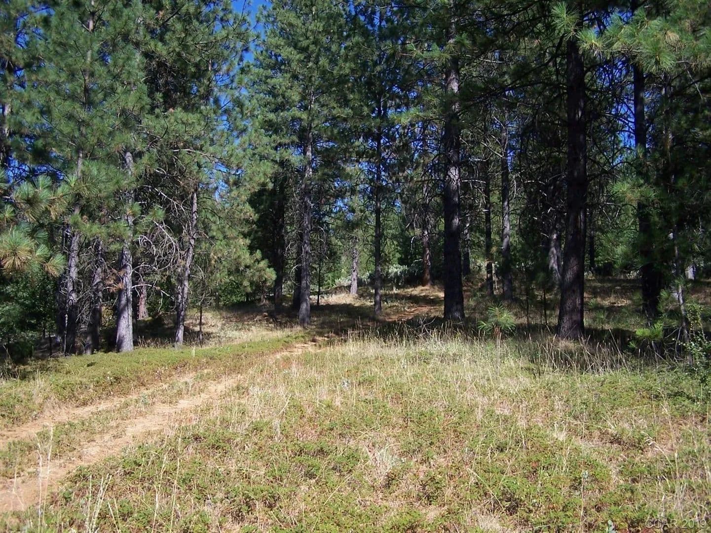 Lots & Land-Other in Sheep Ranch - Sheep Ranch, California, 95250