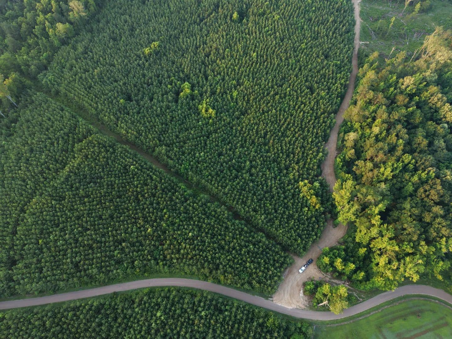 141 Acres in Claiborne County, MS - Port Gibson, Mississippi, 39150