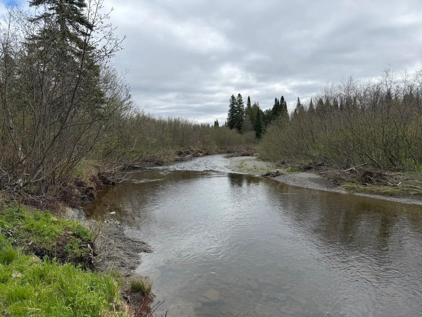 80 Acres of Land for Sale in Van Buren, Maine - Van Buren, Maine, 04785