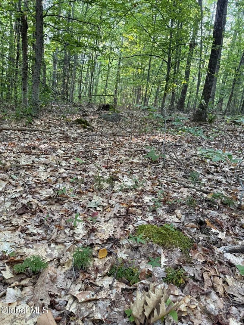 Lots & Land-Other in Bolton - Bolton, New York, 12824