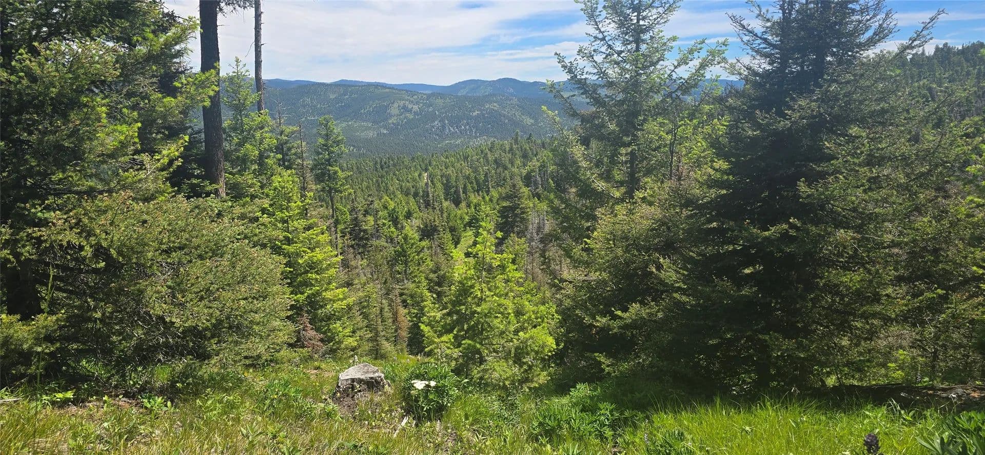 160 Acres of Land for Sale in Drummond, MT - Drummond, Montana, 59832