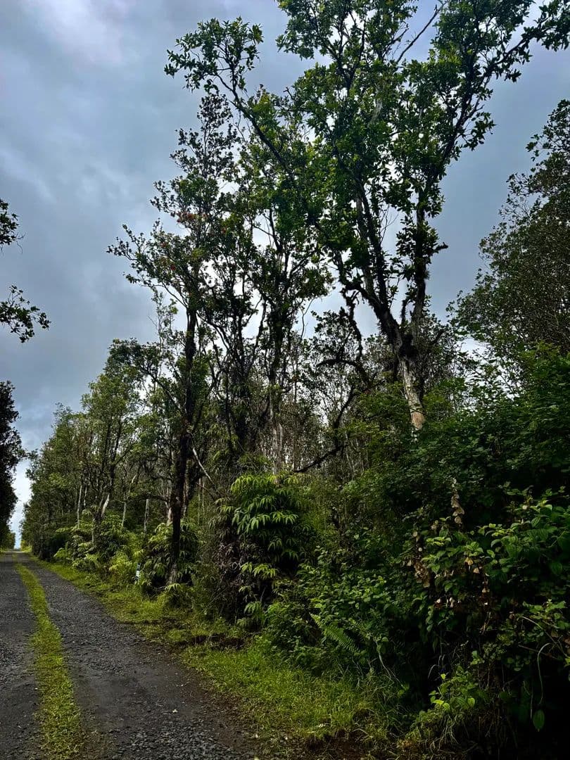 Vacant Land in Mountain View - Mountain View, Hawaii, 96771