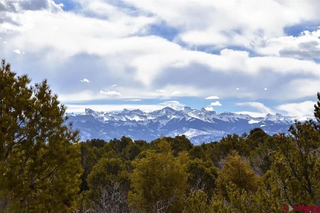 39.19 Acres of Land for Sale in Montrose, CO - Montrose, Colorado, 81403