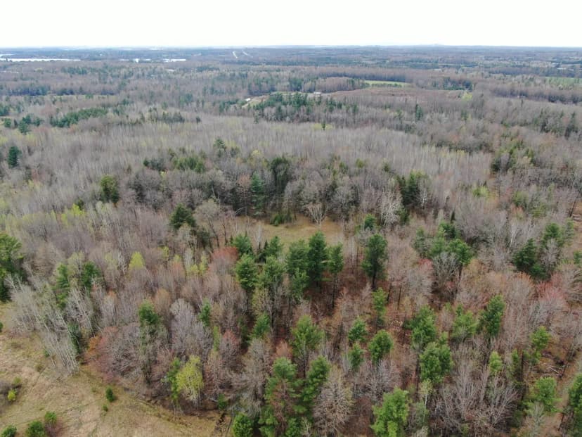 120 acres located in the Town of Dewey, Portage County, WI
