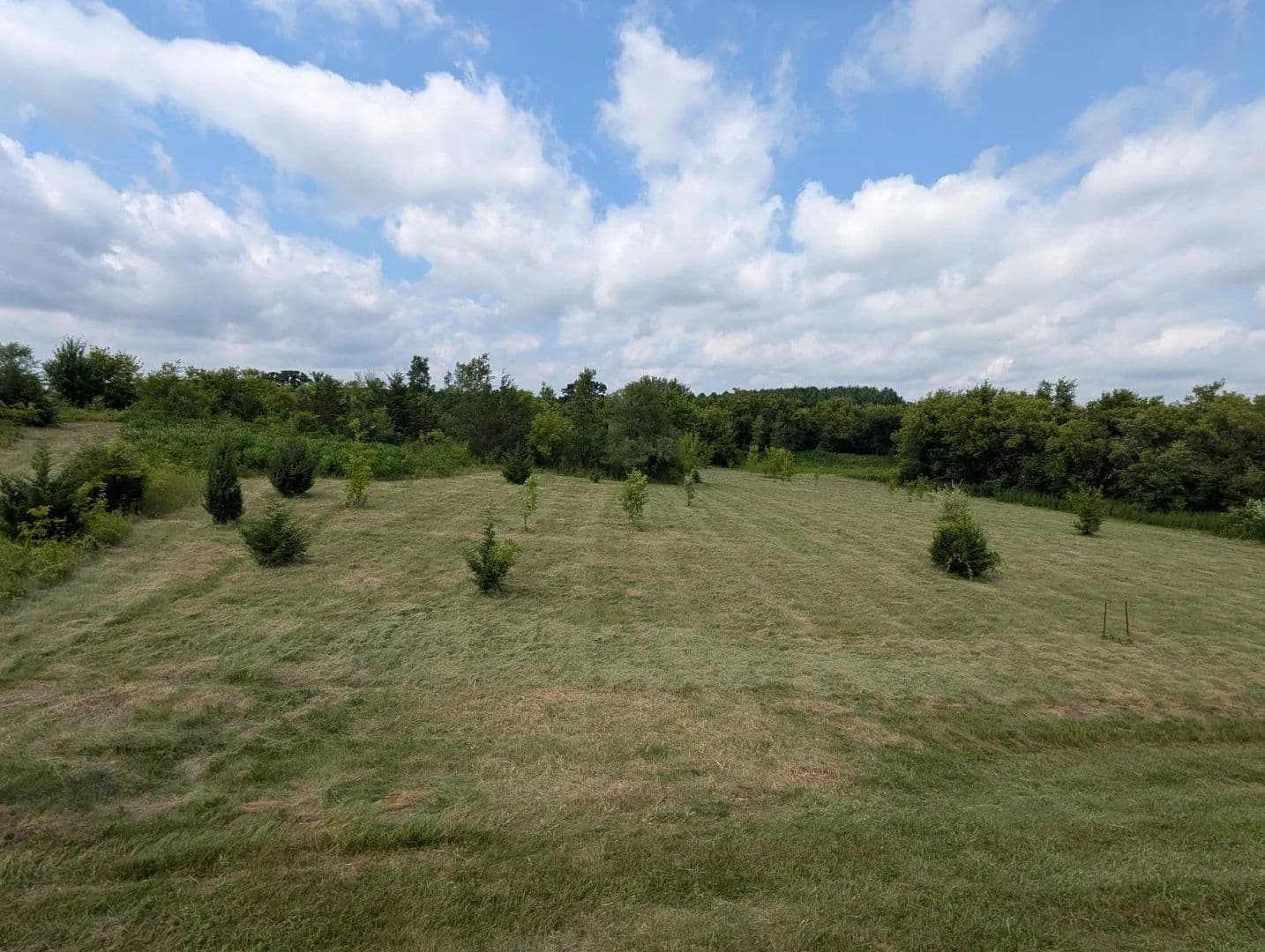 Vacant Land in Oak Grove Twp - land for sale