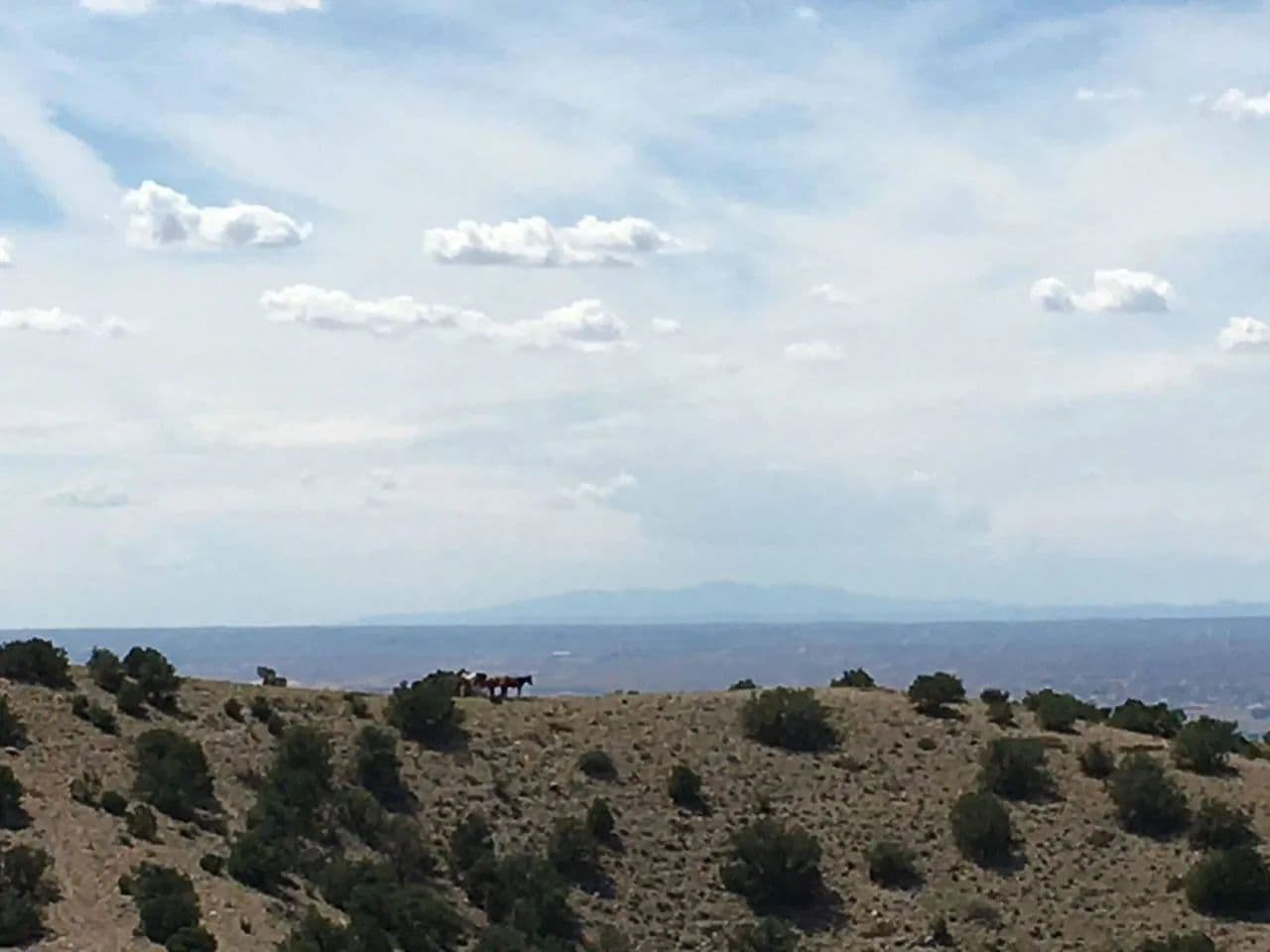 Land -Single Family Acreage in Placitas - Placitas, New Mexico, 87043