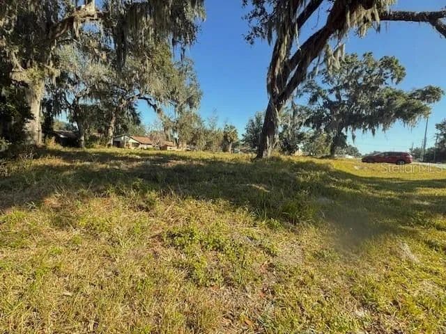 Lots & Land-Other in WEBSTER