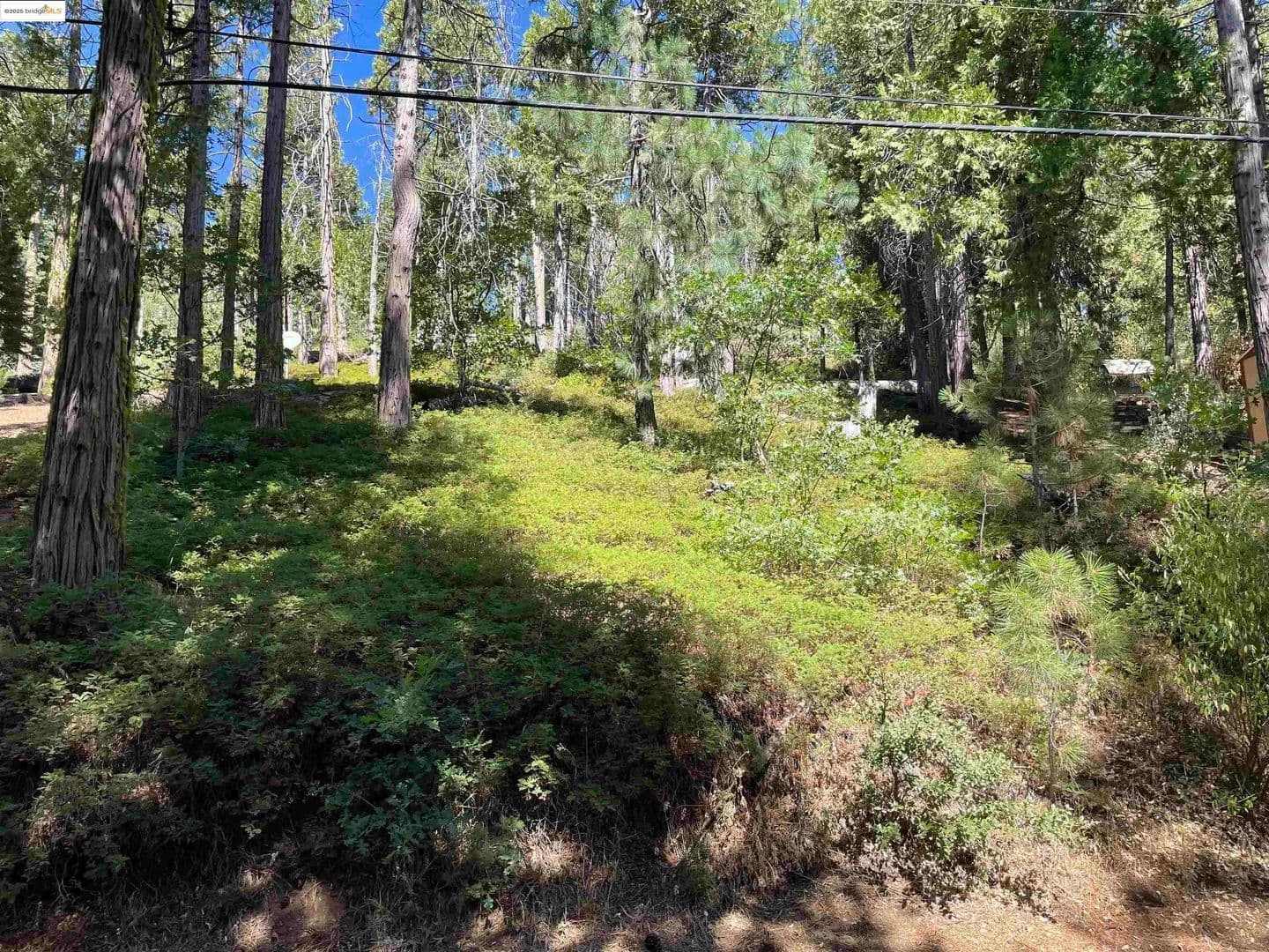 Lots & Land-Other in Long Barn - Long Barn, California, 95335
