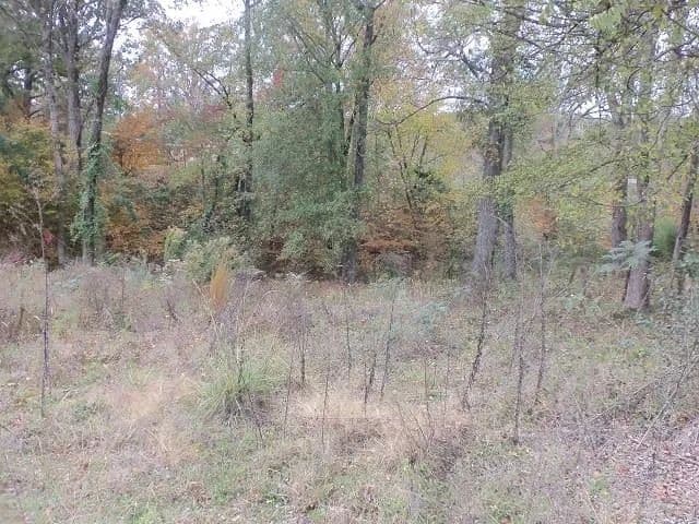 Vacant Land in Kilgore - Kilgore, Texas, 75662