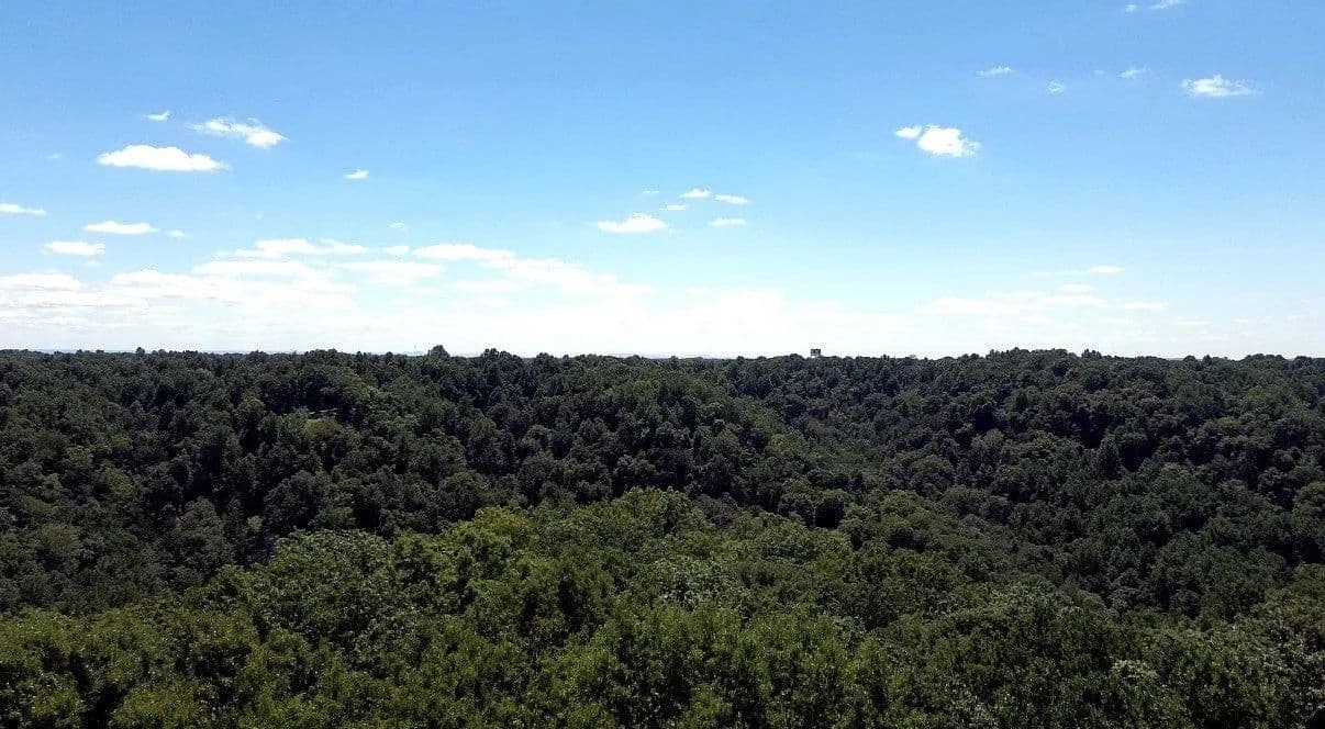Lots & Land-Other in Smithville - Smithville, Tennessee, 37166