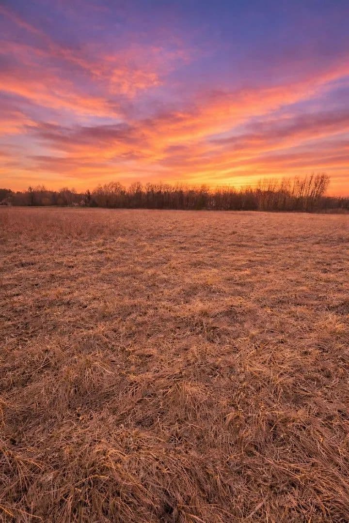 Vacant Land in Midland - Midland, Michigan, 48642