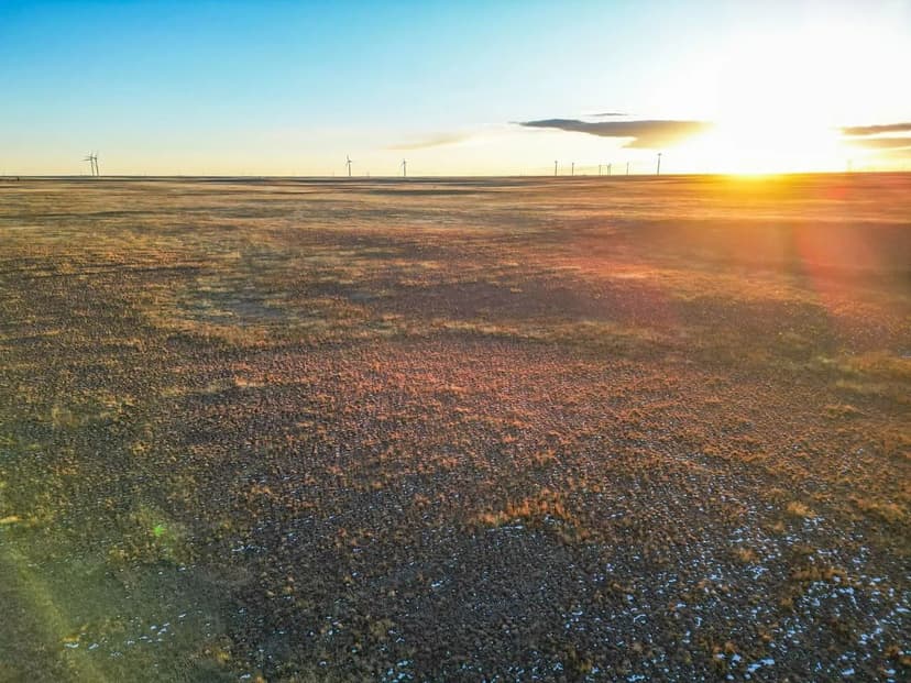 160 Acres - CRP - Elbert County, CO