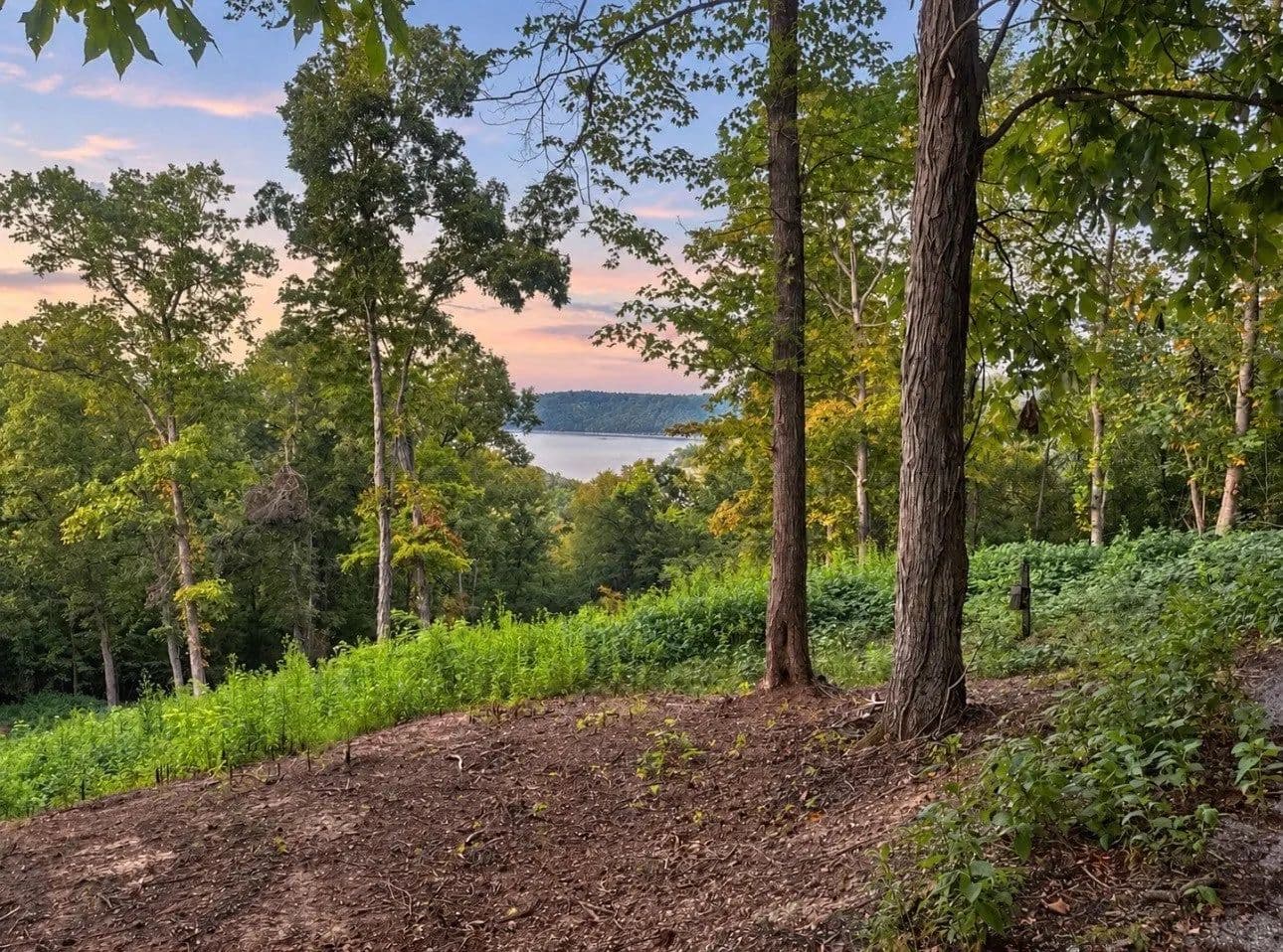 Lots & Land-Other in Smithville - Smithville, Tennessee, 37166