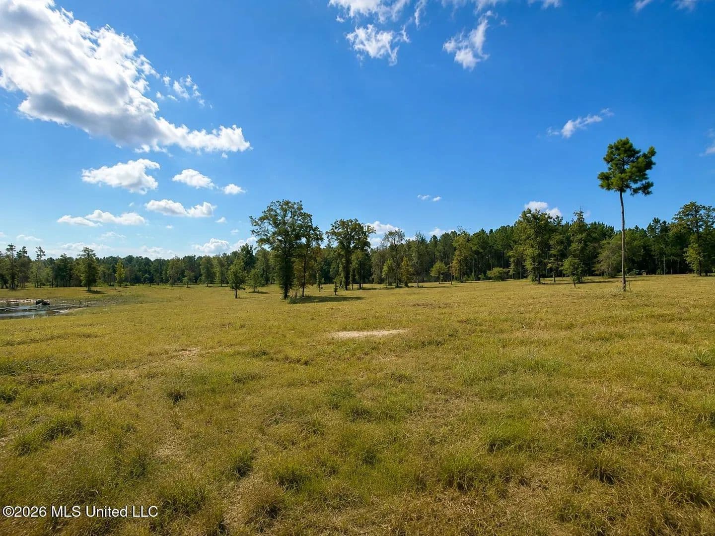 Lots & Land-Other in Leakesville - Leakesville, Mississippi, 39451