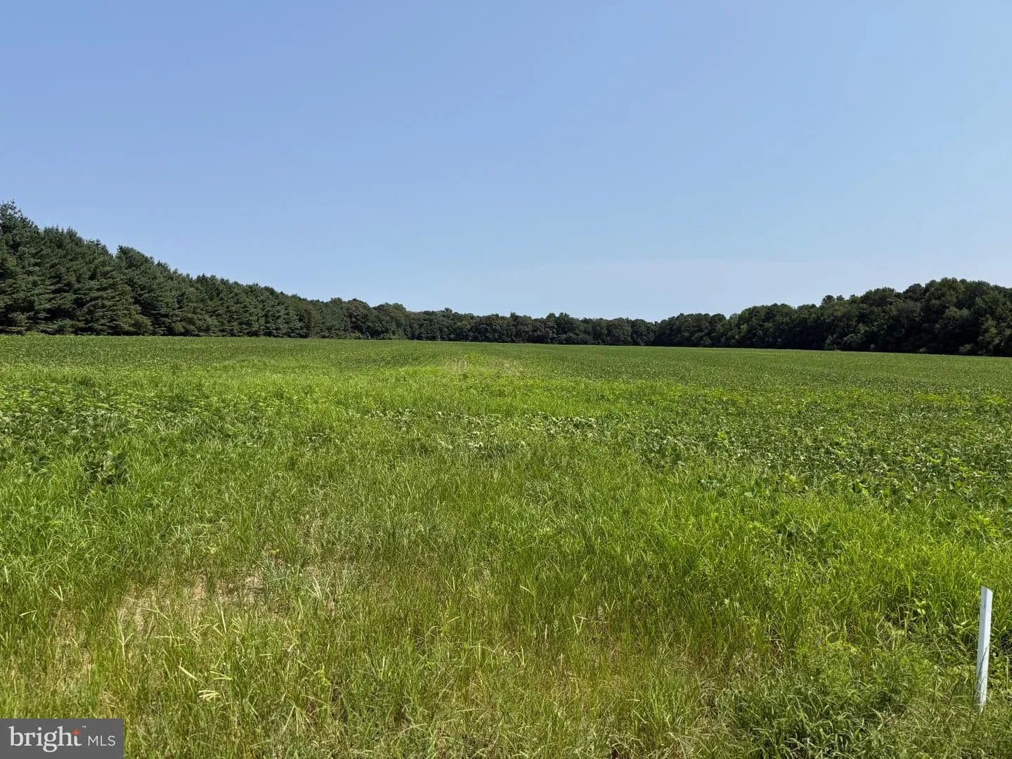 Vacant Land in Preston - Preston, Maryland, 21655