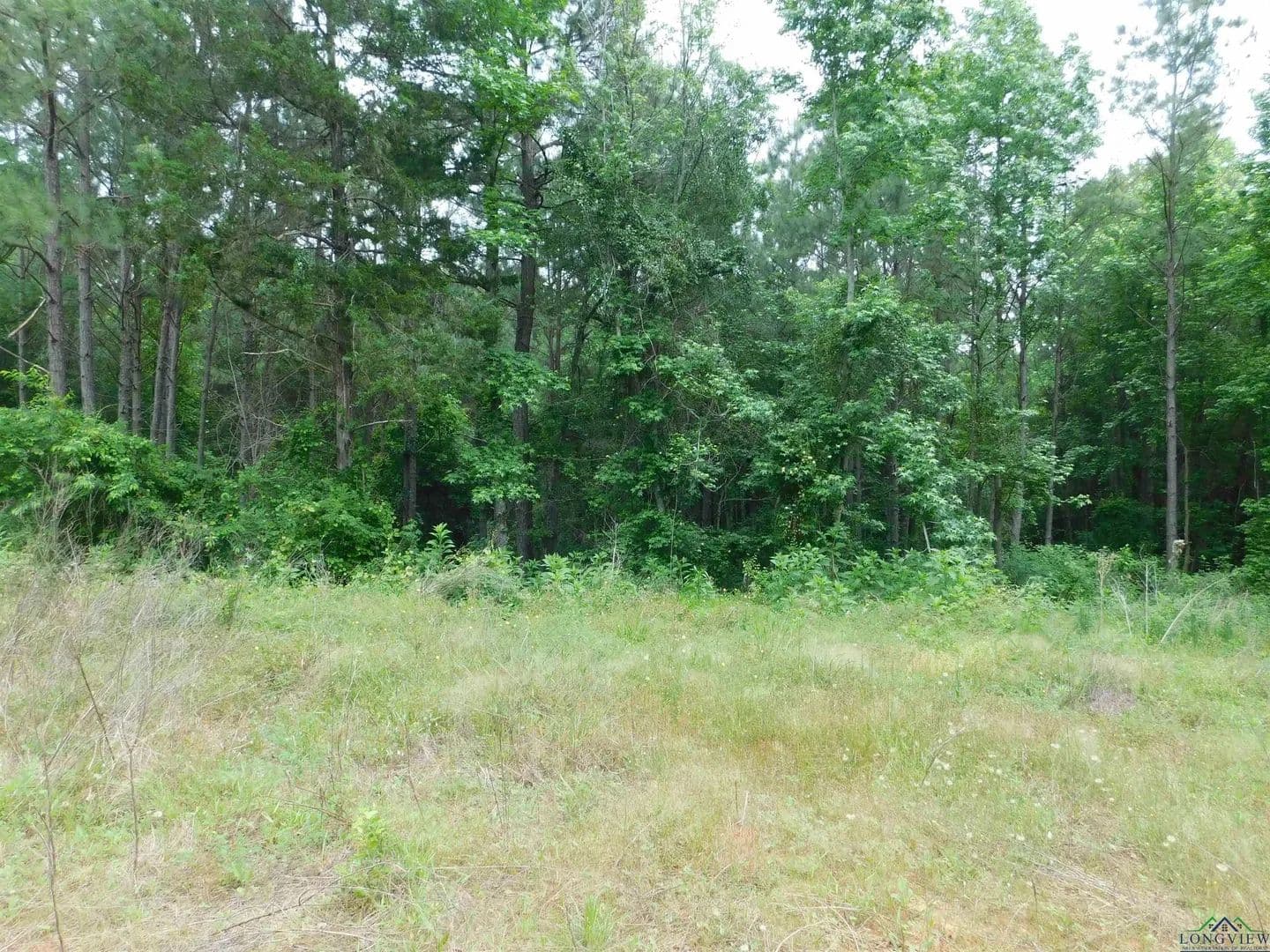 Vacant Land in Gilmer - Gilmer, Texas, 75644