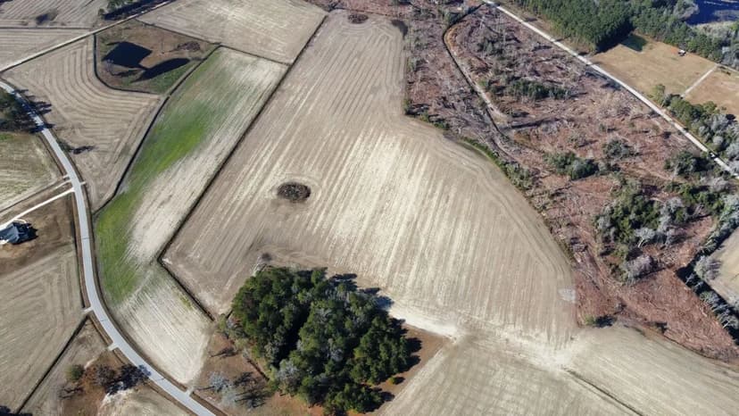 35.65 Acres in Horry County, SC