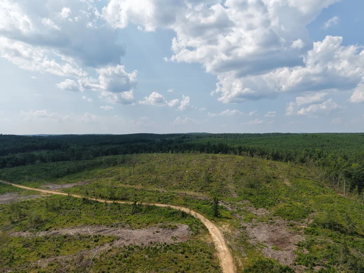 59.15 Acres in Pike County, AR  - Newhope, Arkansas, 71959