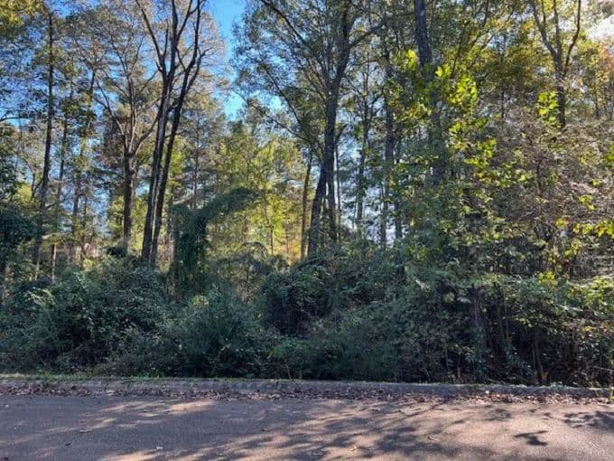 Land -Agricultural (Not Zoned) in Camden - Camden, Arkansas, 71701