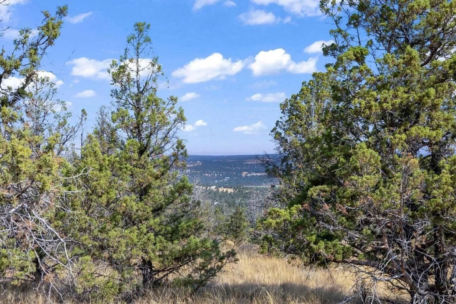 Vacant Land in Prineville - Prineville, Oregon, 97754