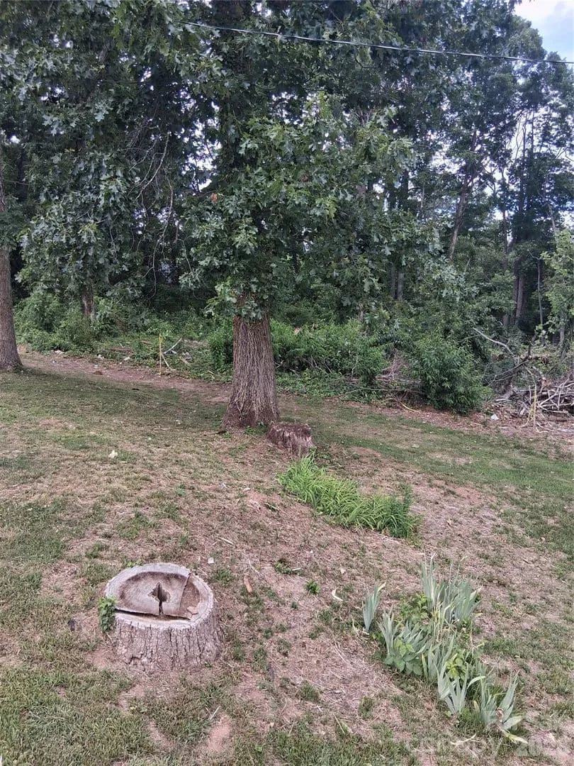 0.18 Acres of Land for Sale in Asheville, NC - Asheville, North Carolina, 28806