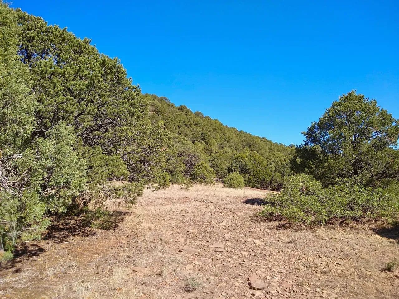 Wild Camp - Trinidad, Colorado, 81082