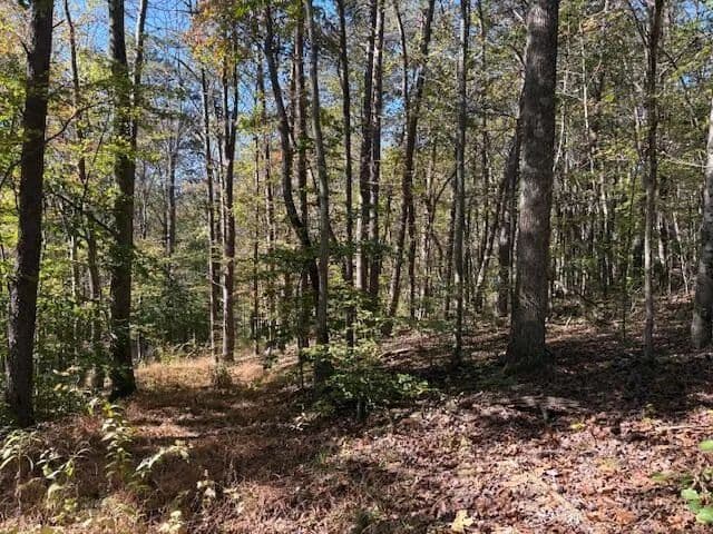 Property from 9847 Stage Road - KW