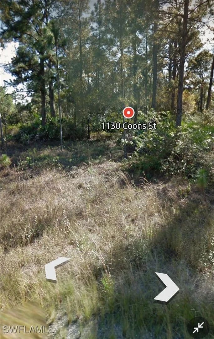 Vacant Land in Lehigh Acres - Lehigh Acres, Florida, 33974