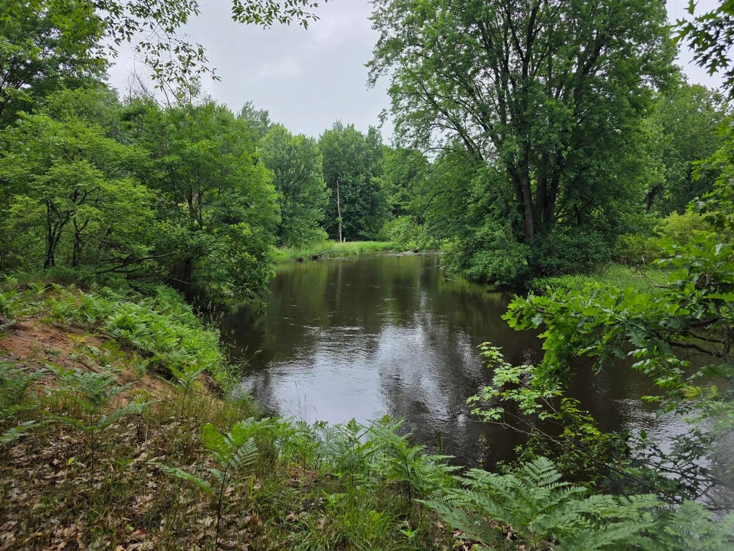 Lots & Land-Other in Hesperia - Hesperia, Michigan, 49421