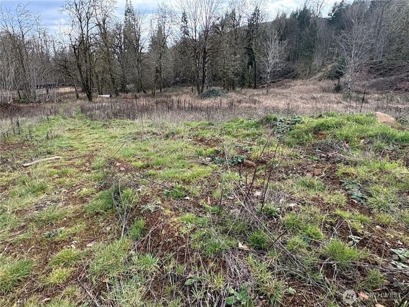 Vacant Land in Castle Rock