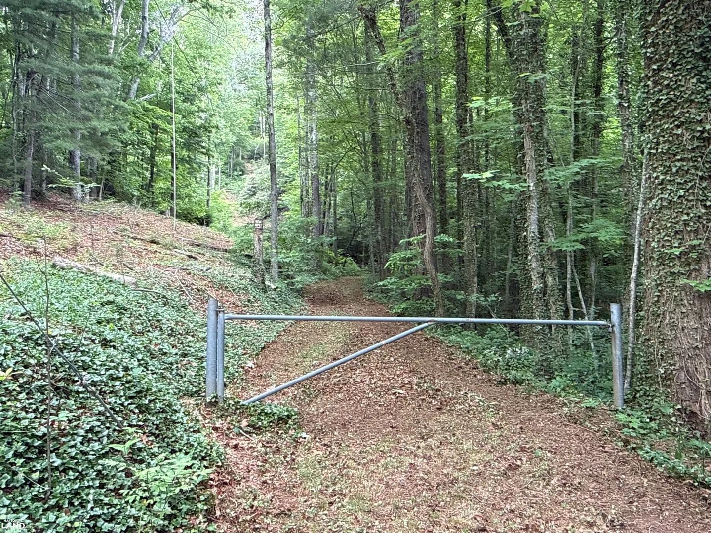 Black Mountain Nature Retreat - Black Mountain, North Carolina, 28711