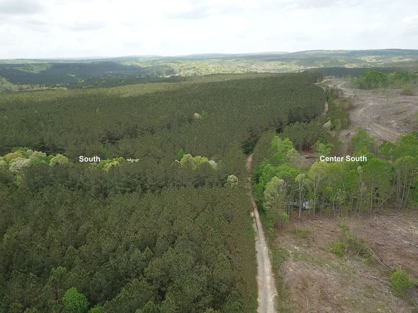 WR_1132 Center South