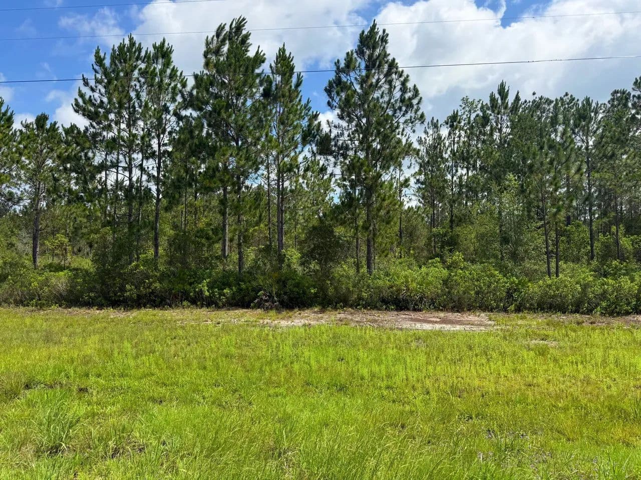 10.47 +/- Ac Land for Sale in Wayne County, GA - Odum, Georgia, 31555