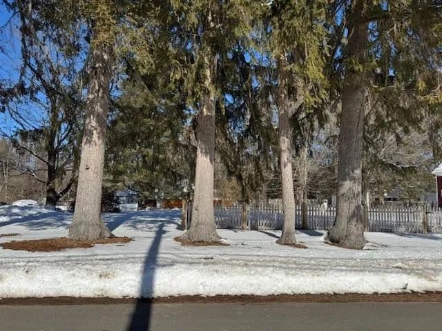 Vacant Land in Rochester