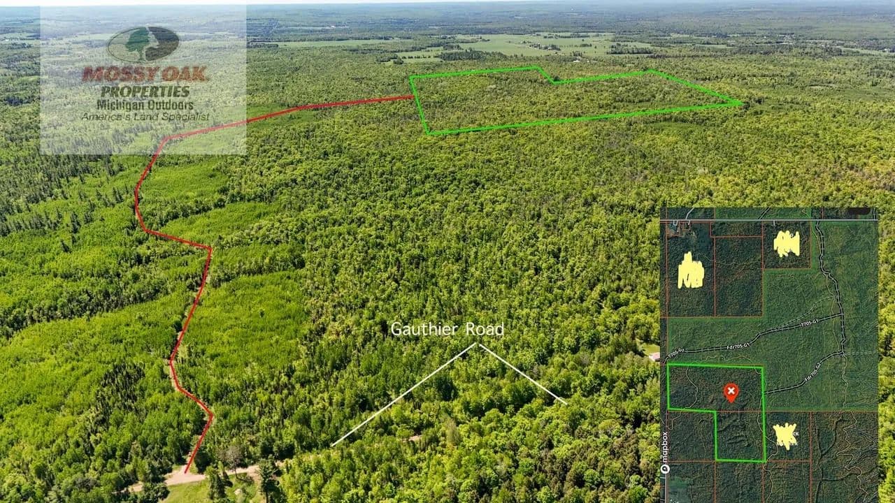 Land For Sale / Ontonagon County / Bruce Crossing, MI 123 Acres +/- / Michigan's U.P. - Bruce Crossing, Michigan, 49912