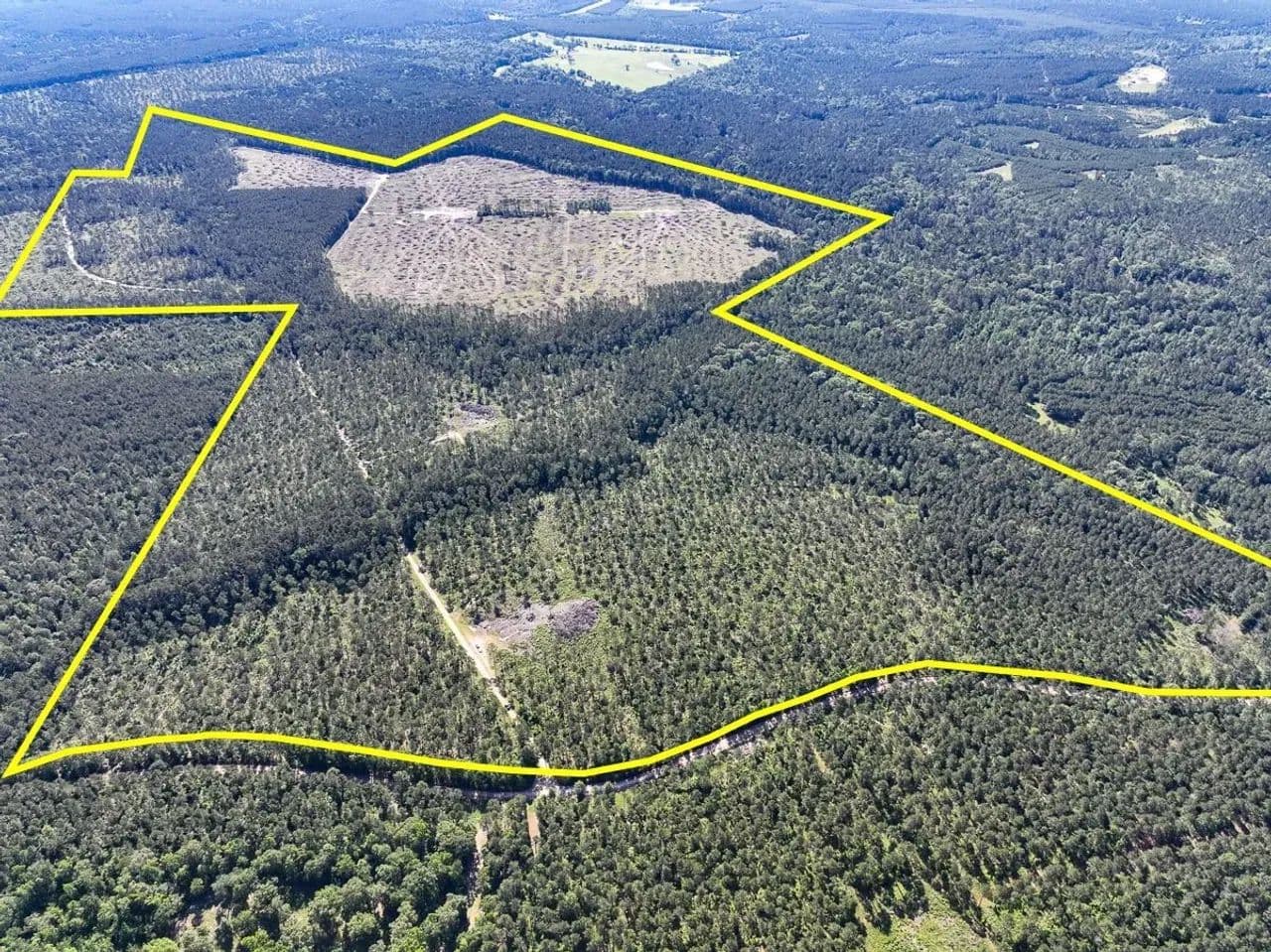 420 Acres | Fountain Creek Road | T-8 - Groveton, Texas, 75845