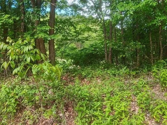 Lots & Land-Other in Tahlequah - Tahlequah, Oklahoma, 74464