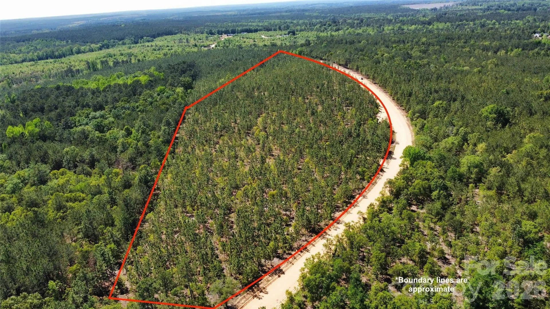 19.32 Acres of Land for Sale in Patrick, SC - land for sale
