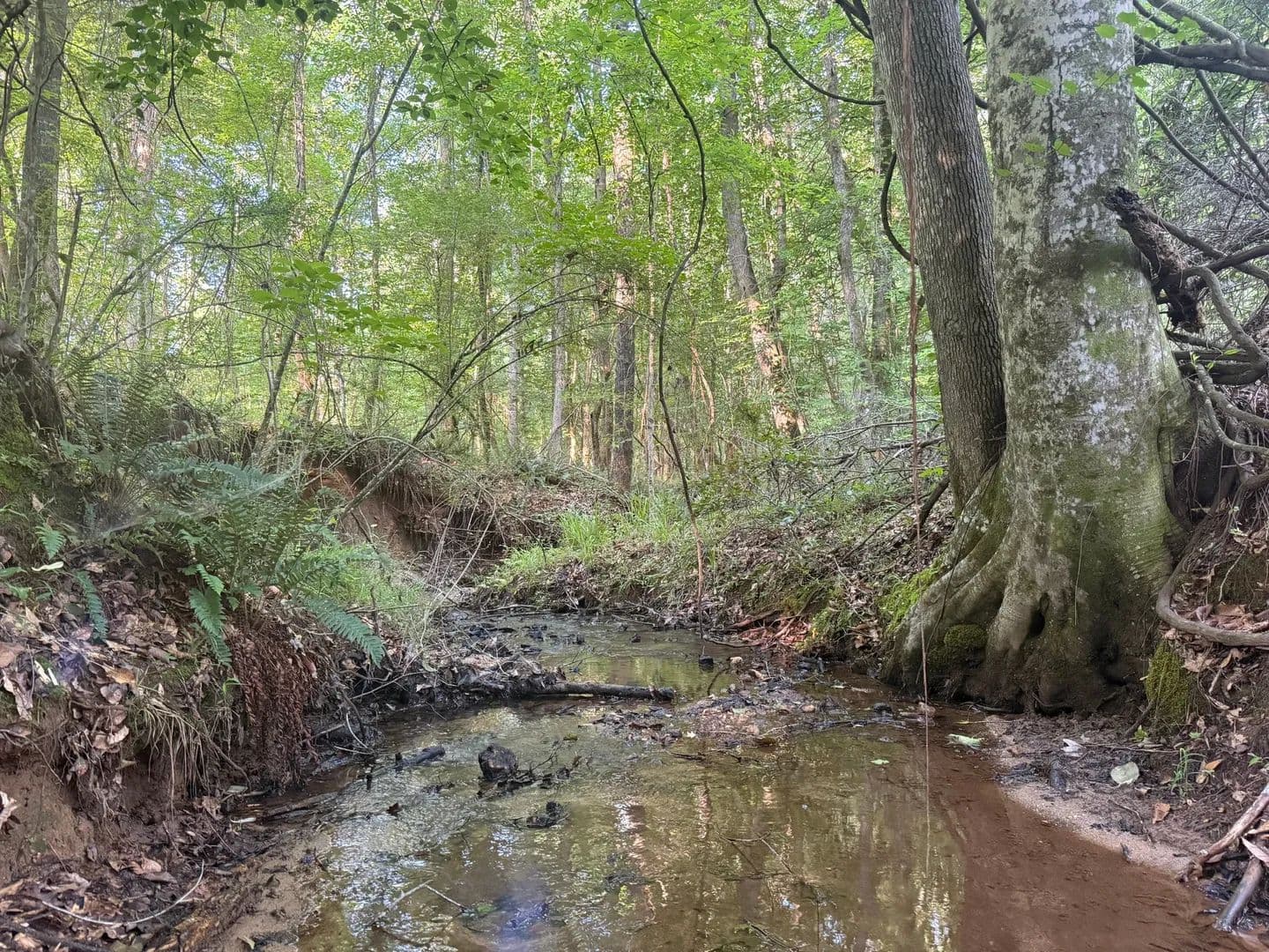 22.76 +/- ac - Camp Hill/Waverly, AL - land for sale