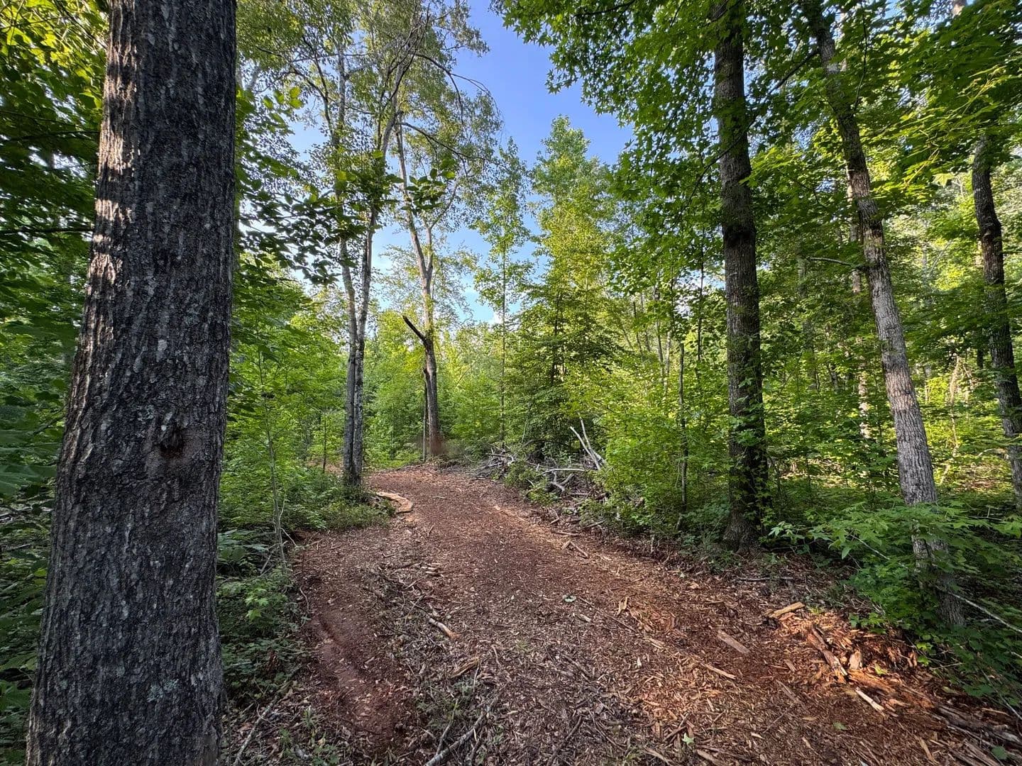22.76 +/- ac - Camp Hill/Waverly, AL - Camp Hill, Alabama, 36850