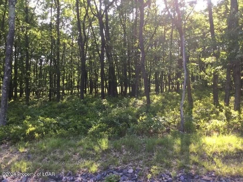 Lots & Land-Other in Hazle Twp