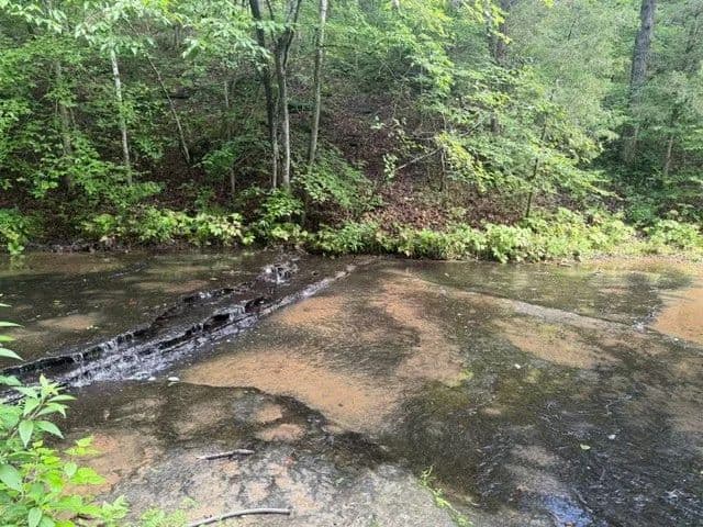 21.24 Acres of Land for Sale in Ashland City, TN - Ashland City, Tennessee, 37015
