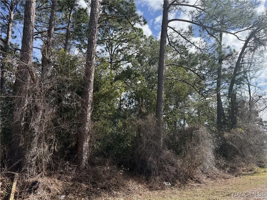 Lots & Land-Other in Silver Springs - Silver Springs, Florida, 34488