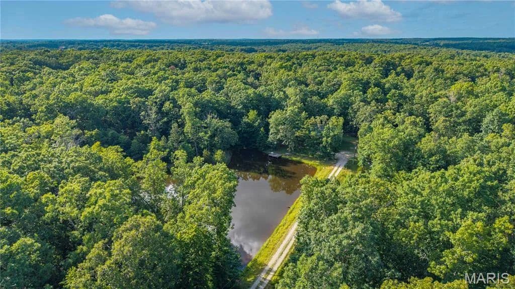 96 Acres of Land for Sale in Marquand, MO - Marquand, Missouri, 63655